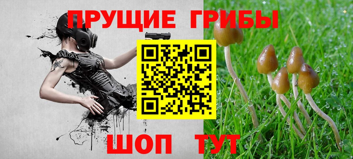 Галлюциногенные грибы Magic Shrooms  Вход с VPN  Туапсе 