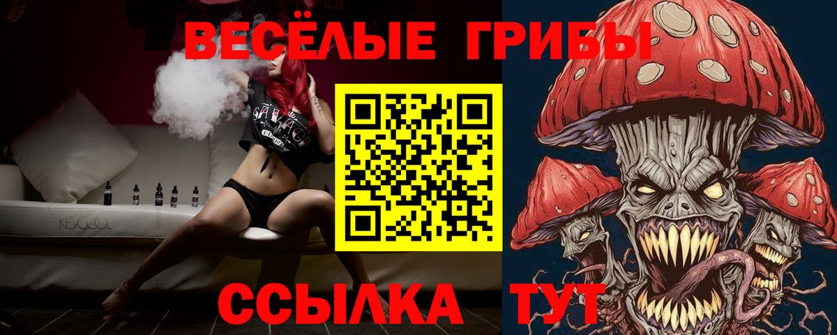 Псилоцибиновые грибы ЛСД Туапсе